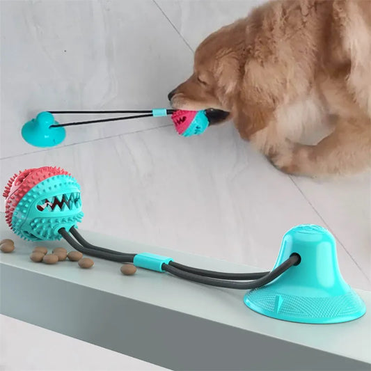 FetchFix™ Suction Ball