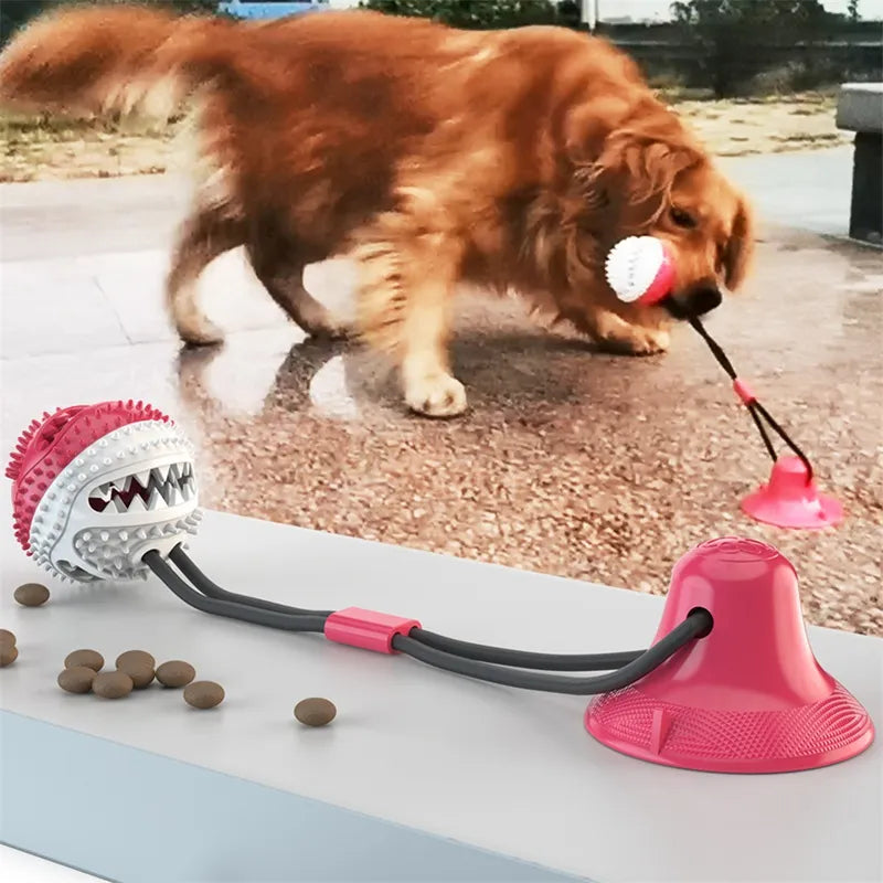 FetchFix™ Suction Ball